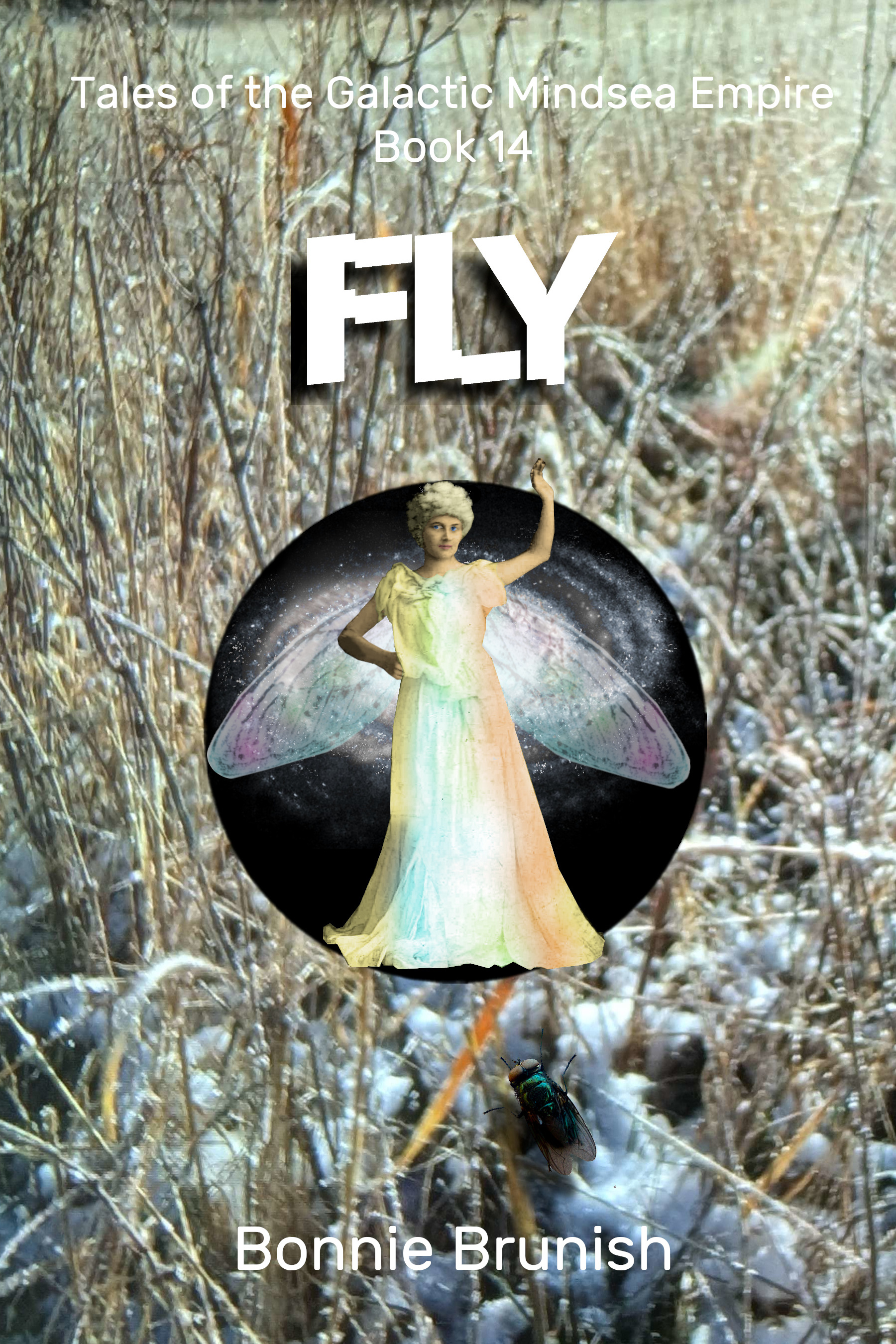 Fly